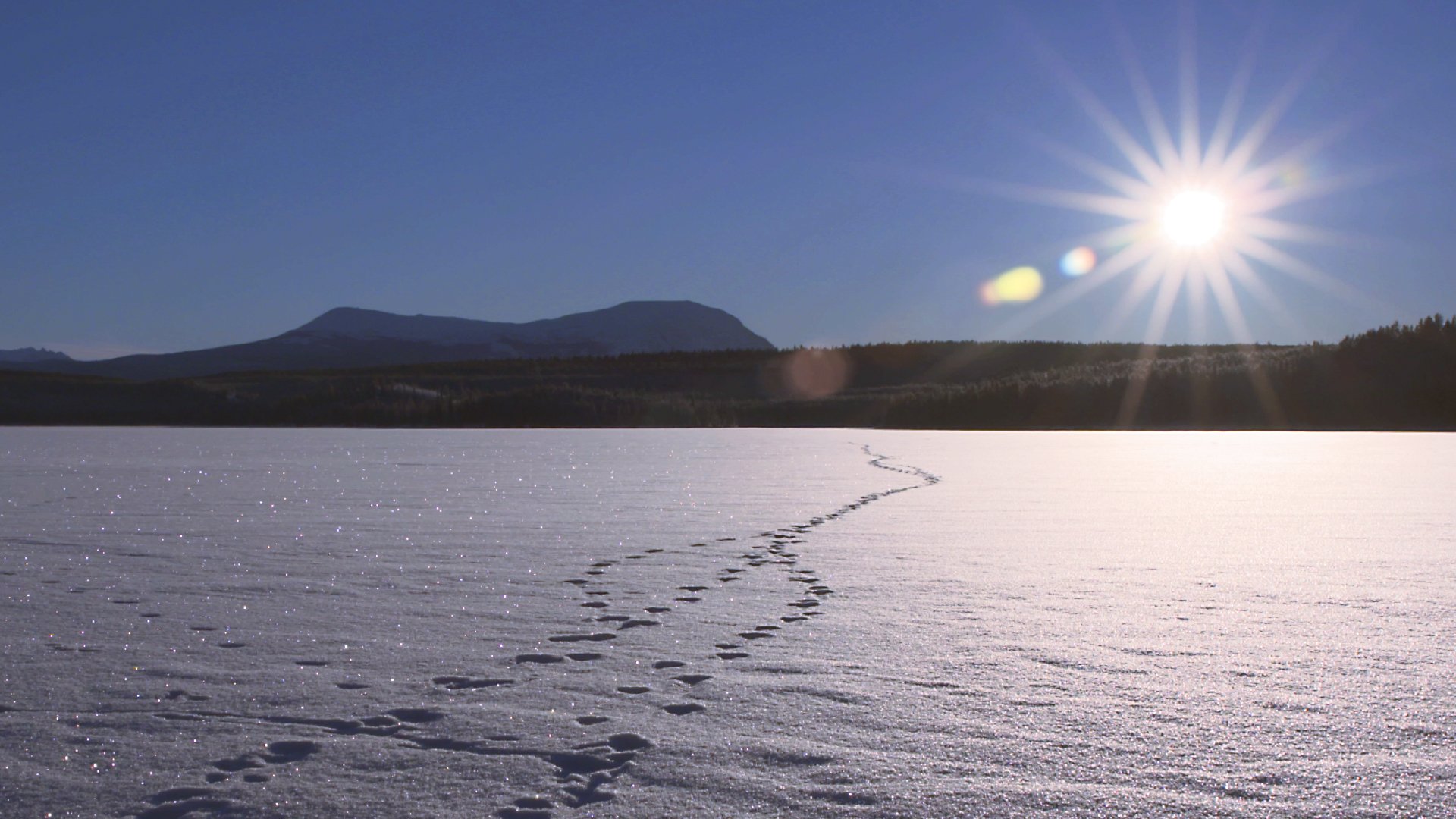 Arctic Secrets - E1 - Land of Extremes