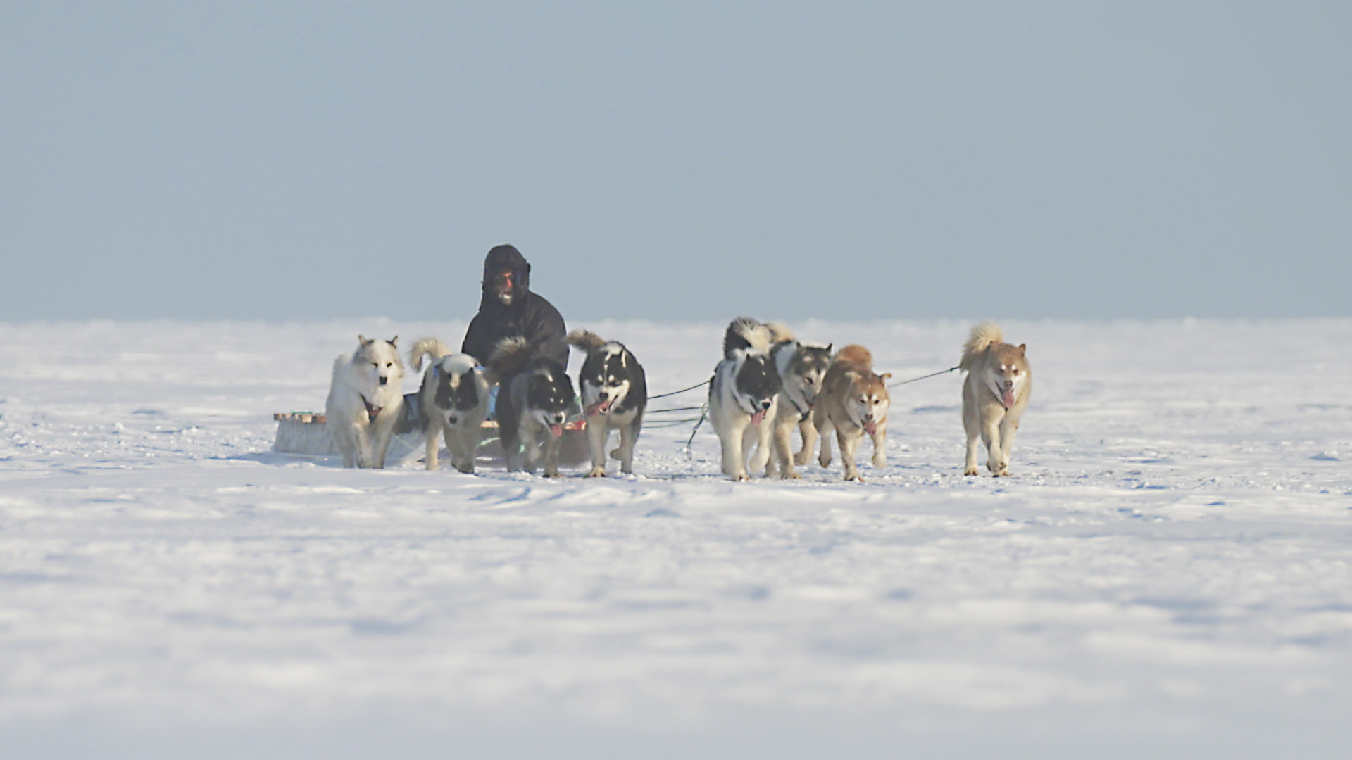 Arctic Secrets - E2 - Devon Island: Land of Ice