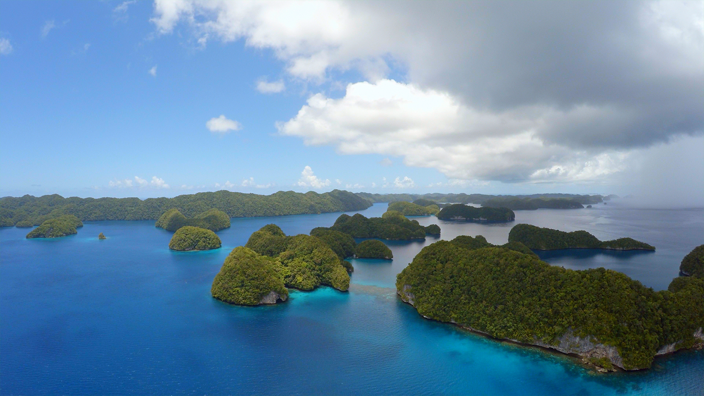 Great Blue Wild - S2E2 - Palau Shark Sanctuary