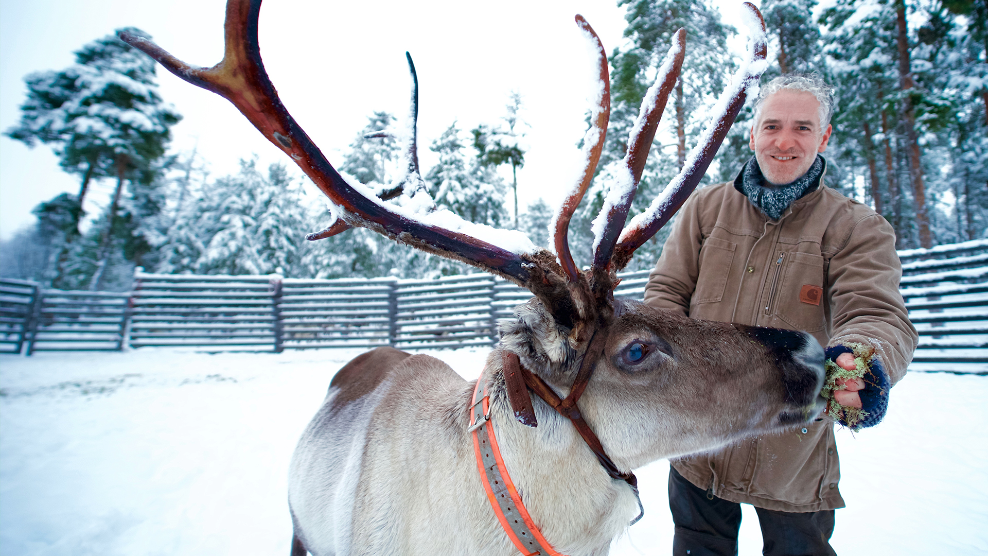 Reindeer Family & Me