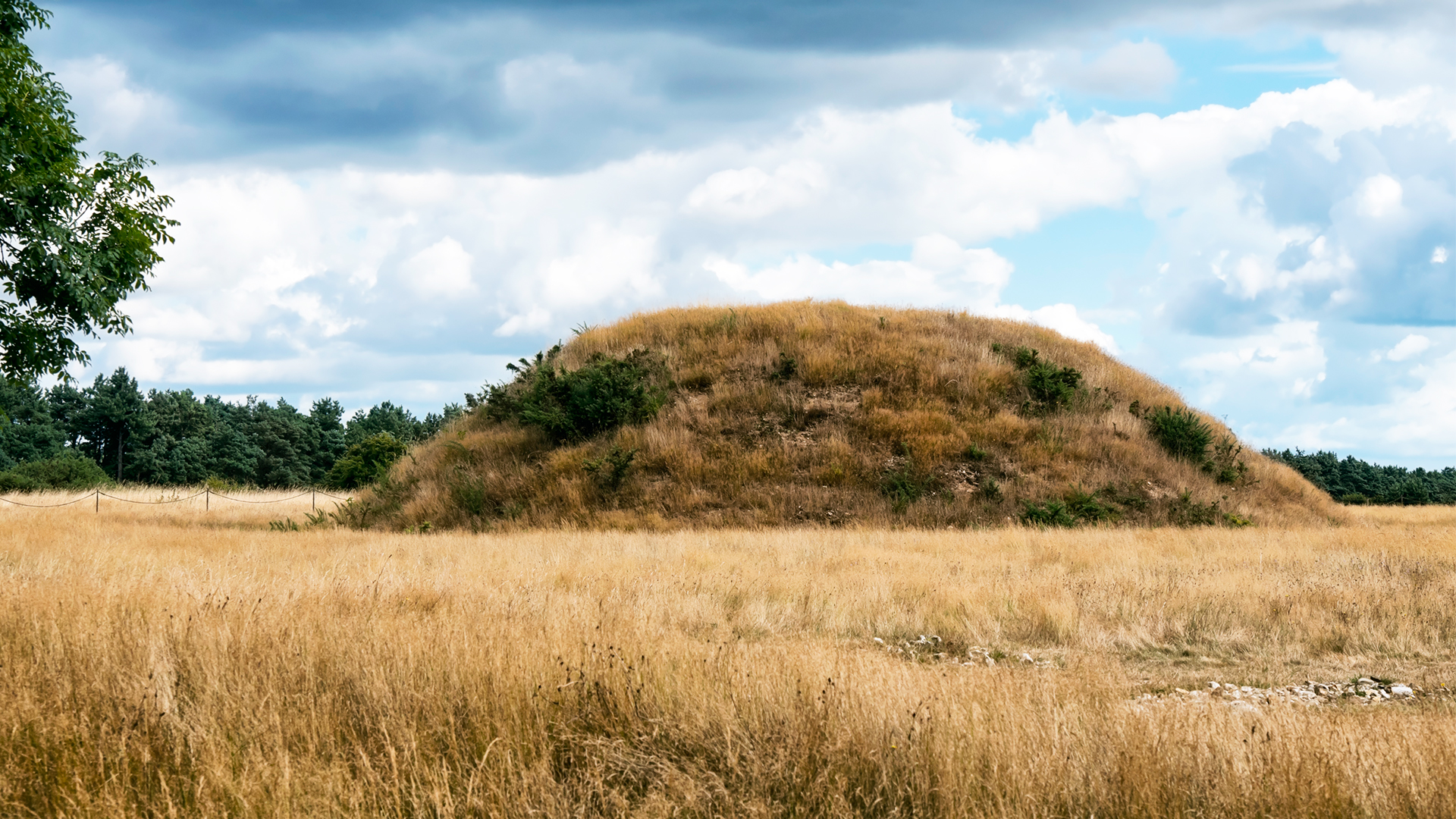 Secrets From the Sky - E5 - Sutton Hoo