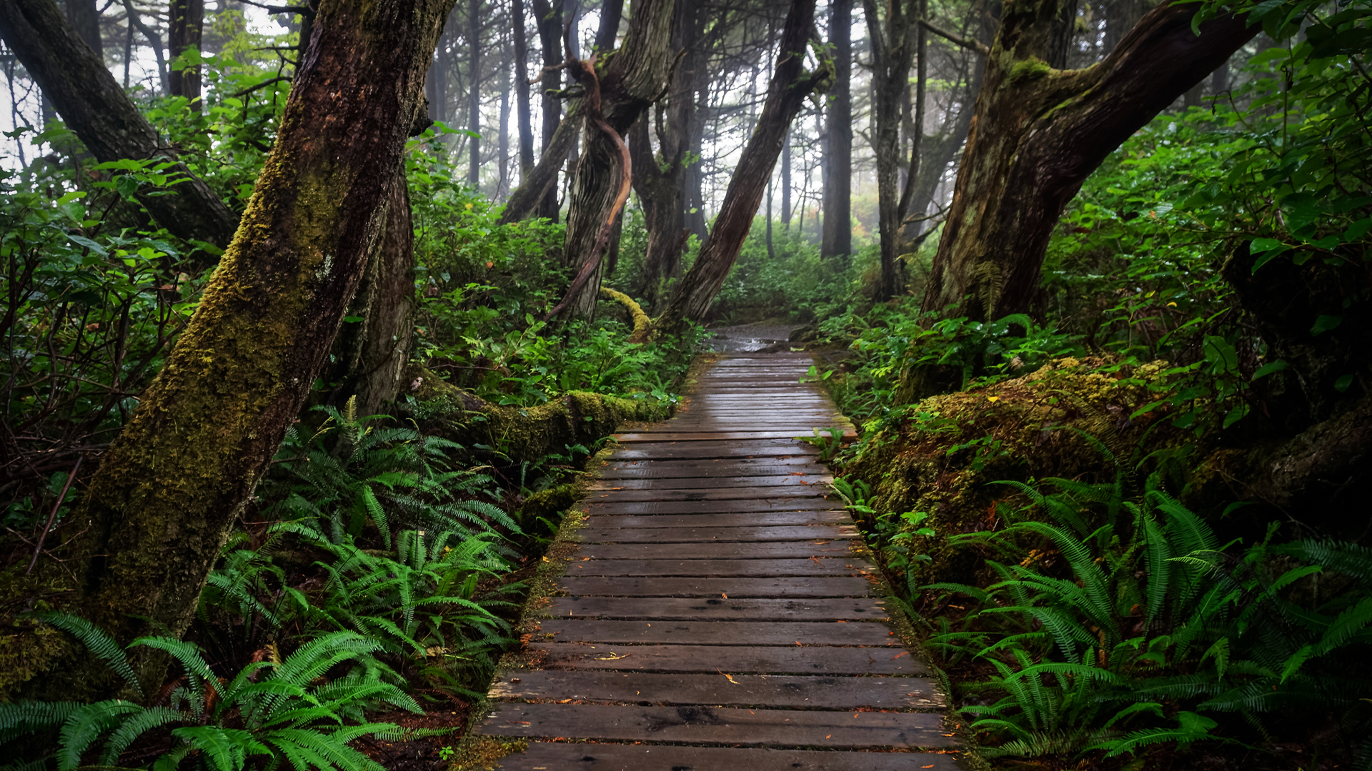 Vancouver Island Vancouver Island