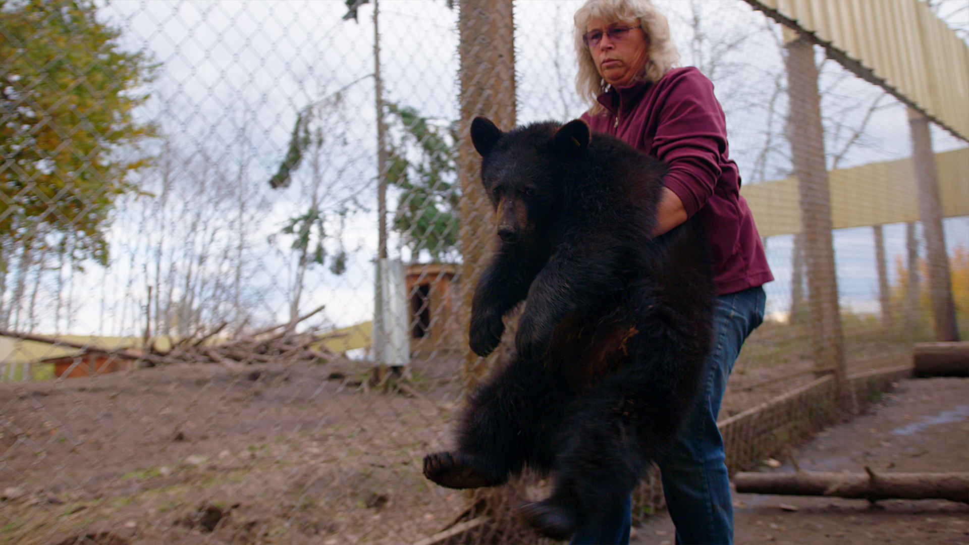 Wild Bear Rescue - E6 - Open Gate