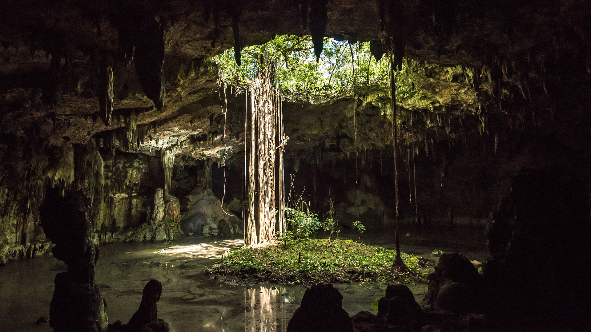 Wild Mexico - E2 - Forests of the Maya